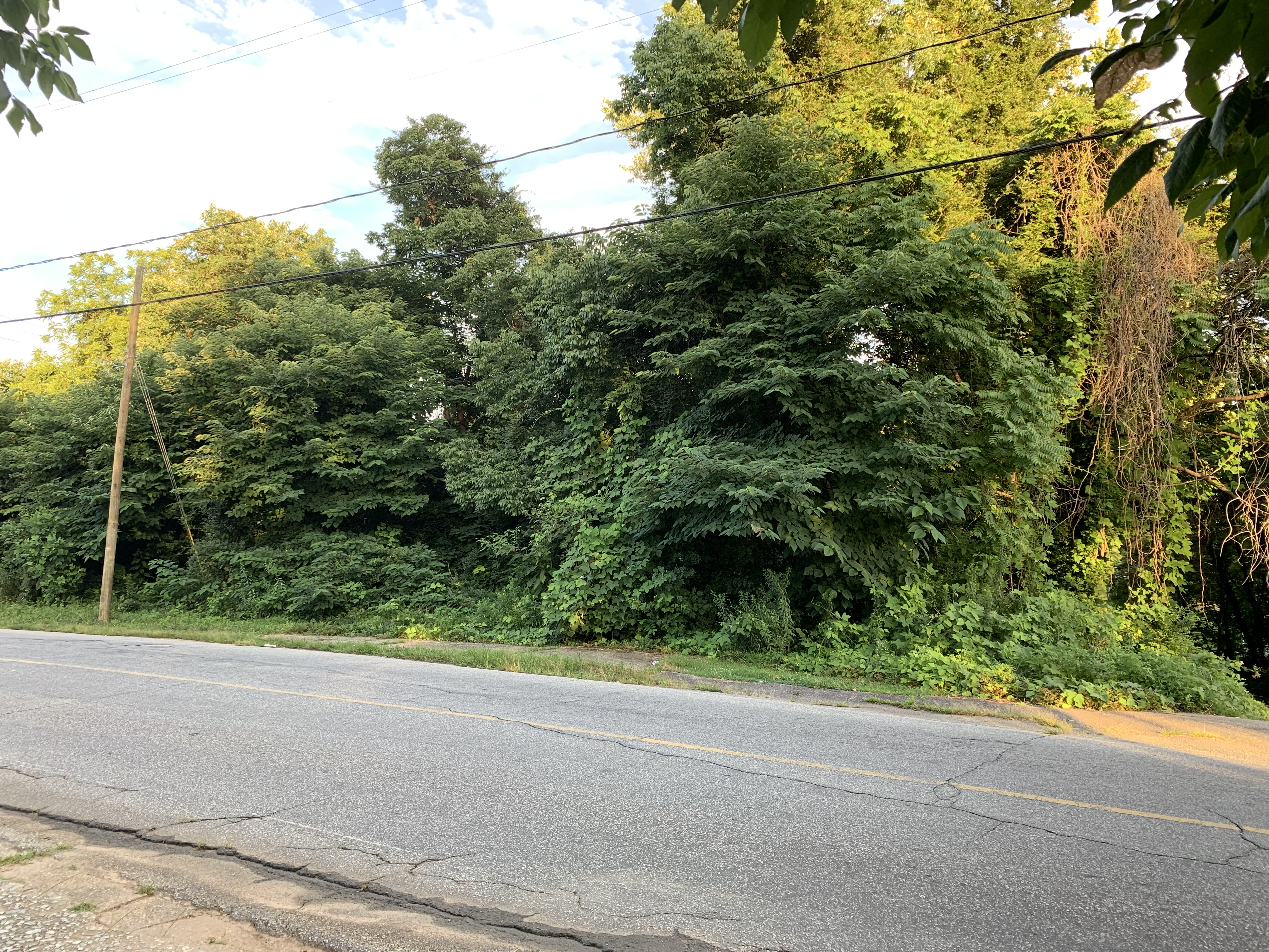 Site of former East Finley Package Store and Gulf Service Station