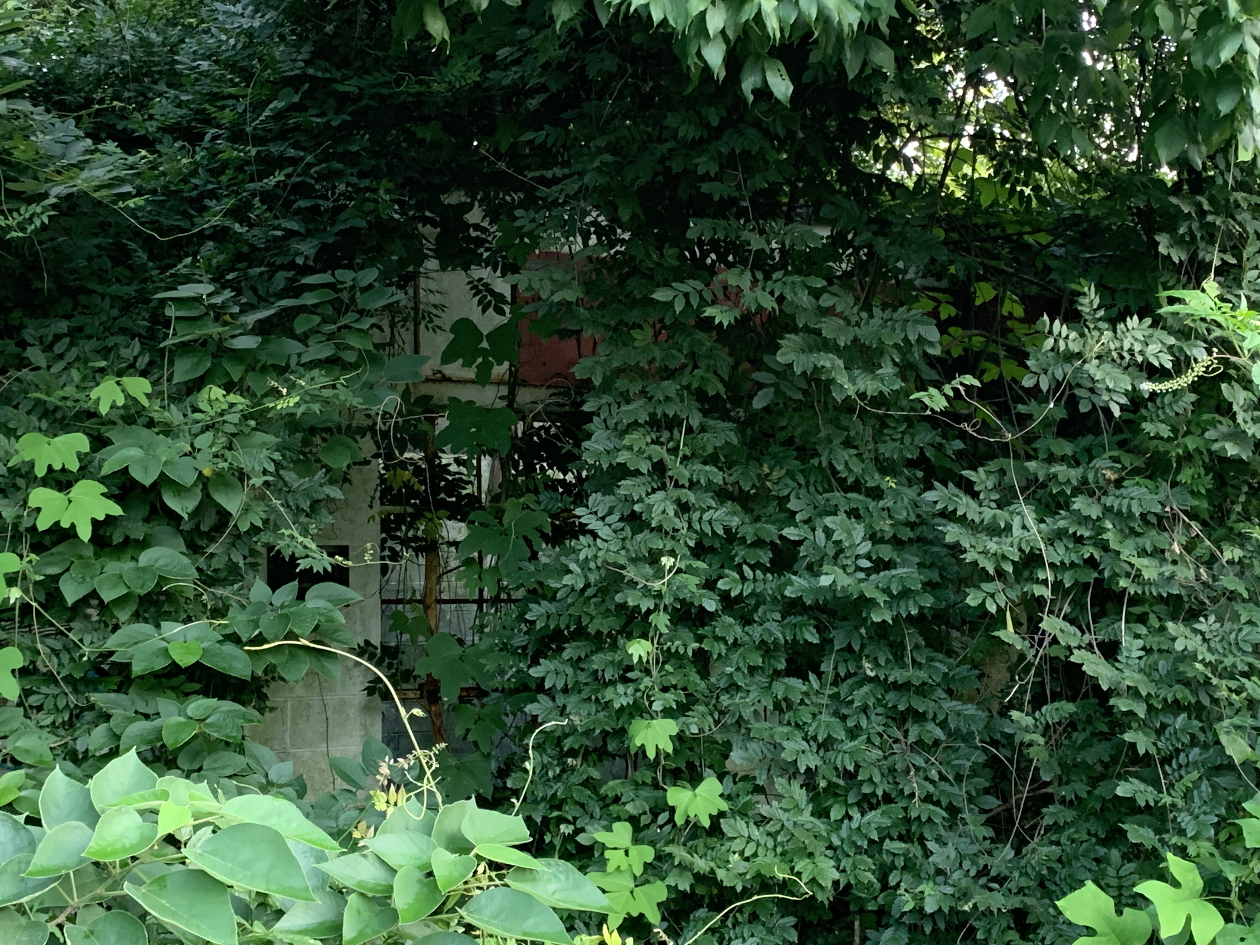 Site of former East Finley Package Store and Gulf Service Station