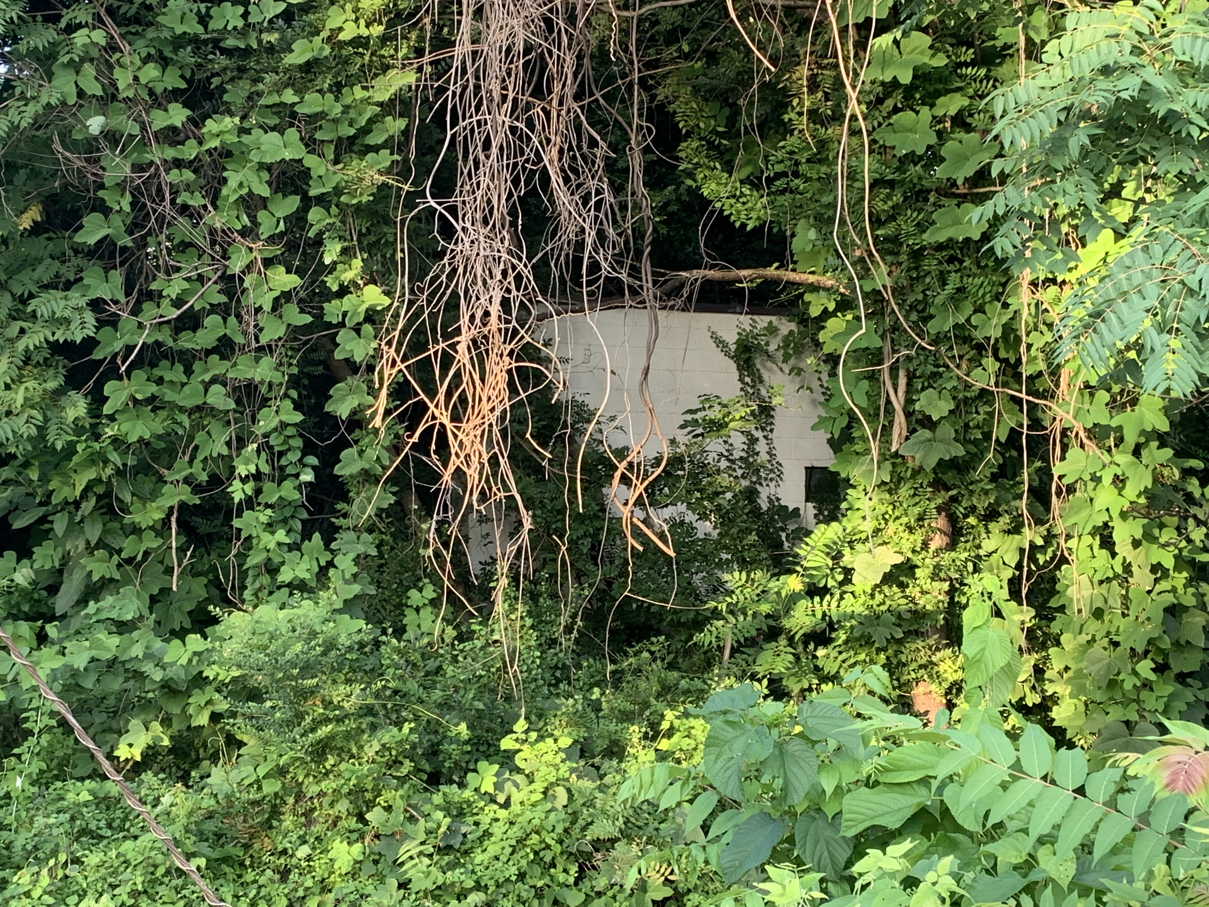 Site of former East Finley Package Store and Gulf Service Station