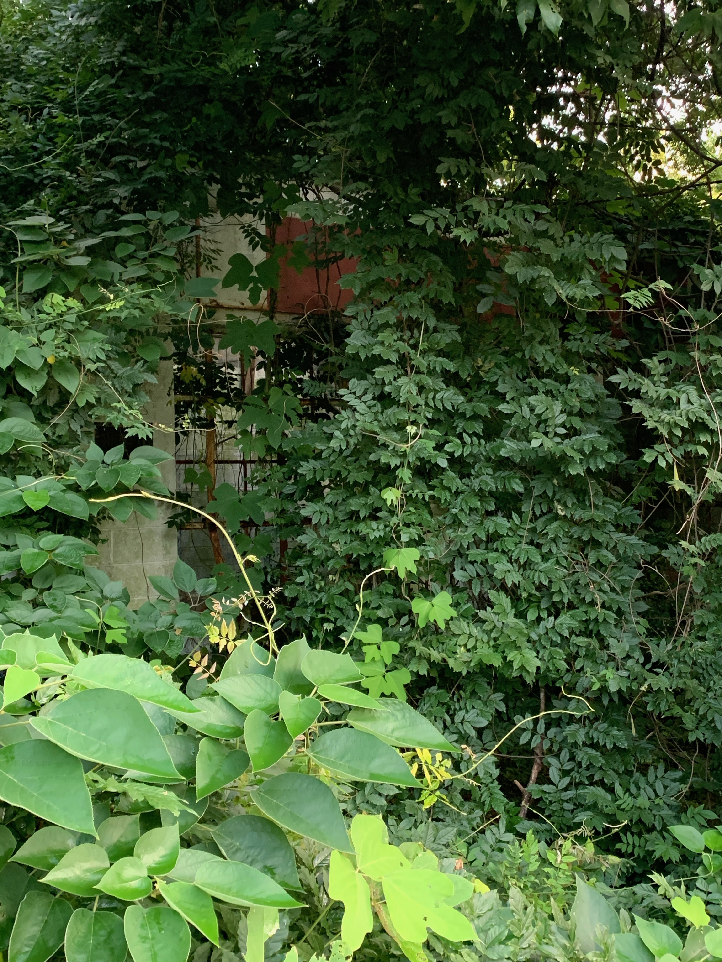 Site of former East Finley Package Store and Gulf Service Station