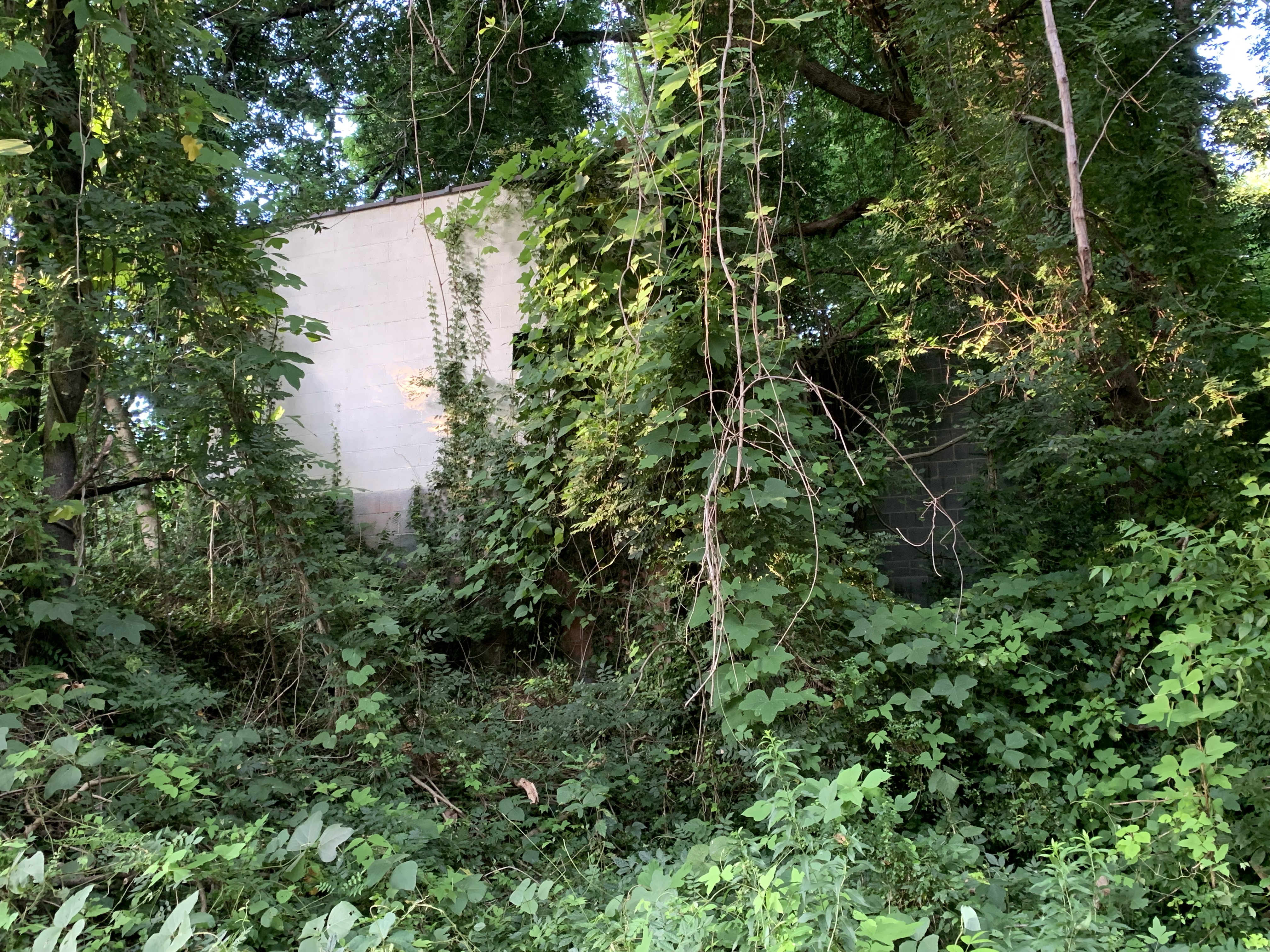 Site of former East Finley Package Store and Gulf Service Station