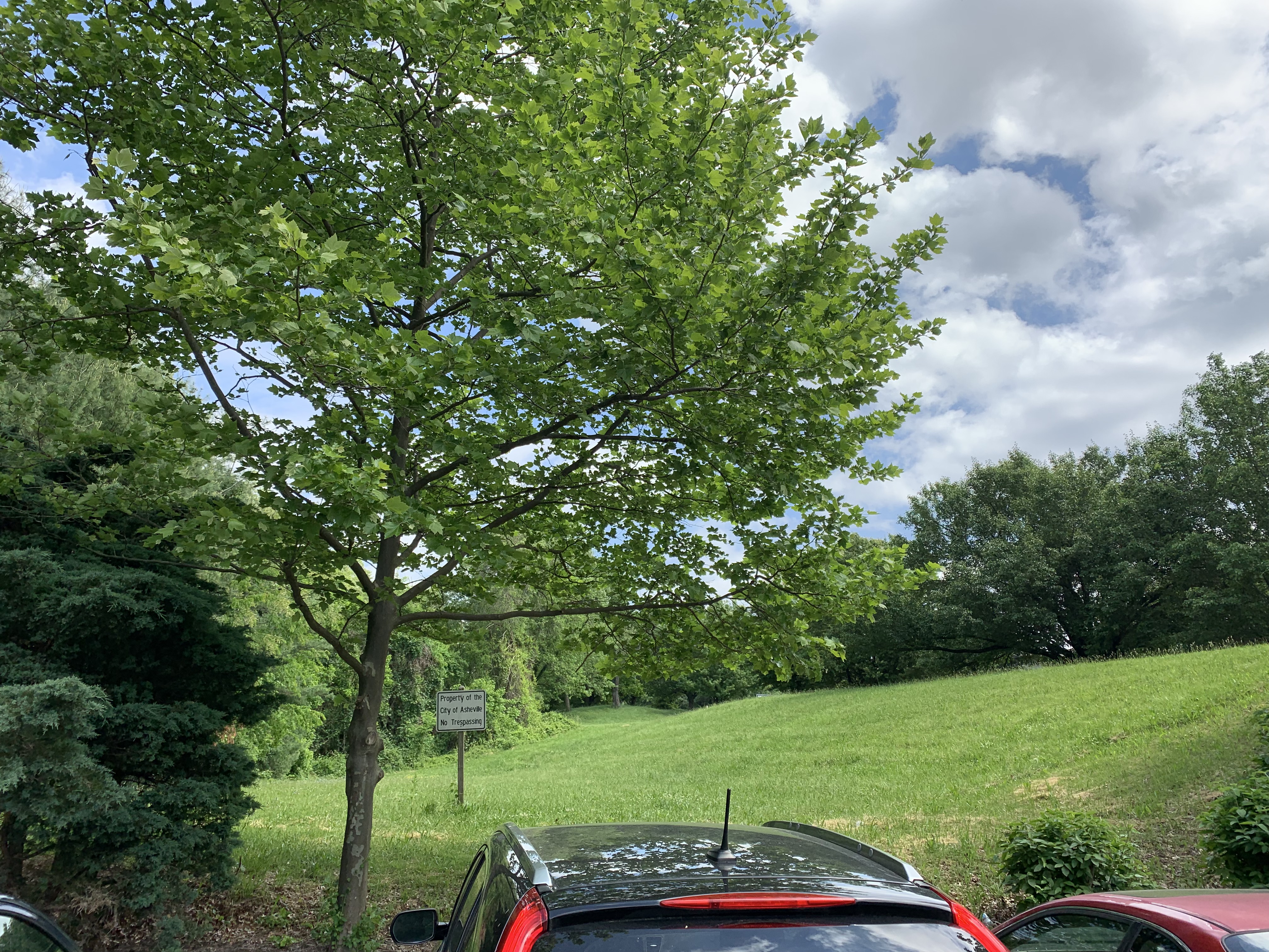 Former site of Jamison's