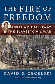 Freedom for Themselves North Carolina's Black Soldiers in the Civil War Era Book Cover