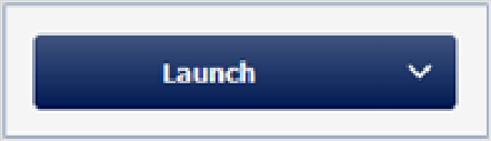 Screenshot of Launch button