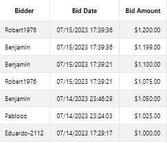 Screenshot of the Bid History tab displaying a table of past bids