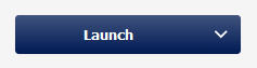 Screenshot showing the Launch button