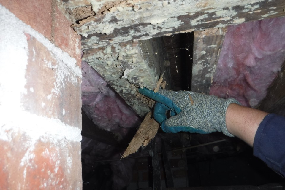 Structural Moisture Risks Structural Pest Control and Pesticides - Structural Investigation and ...