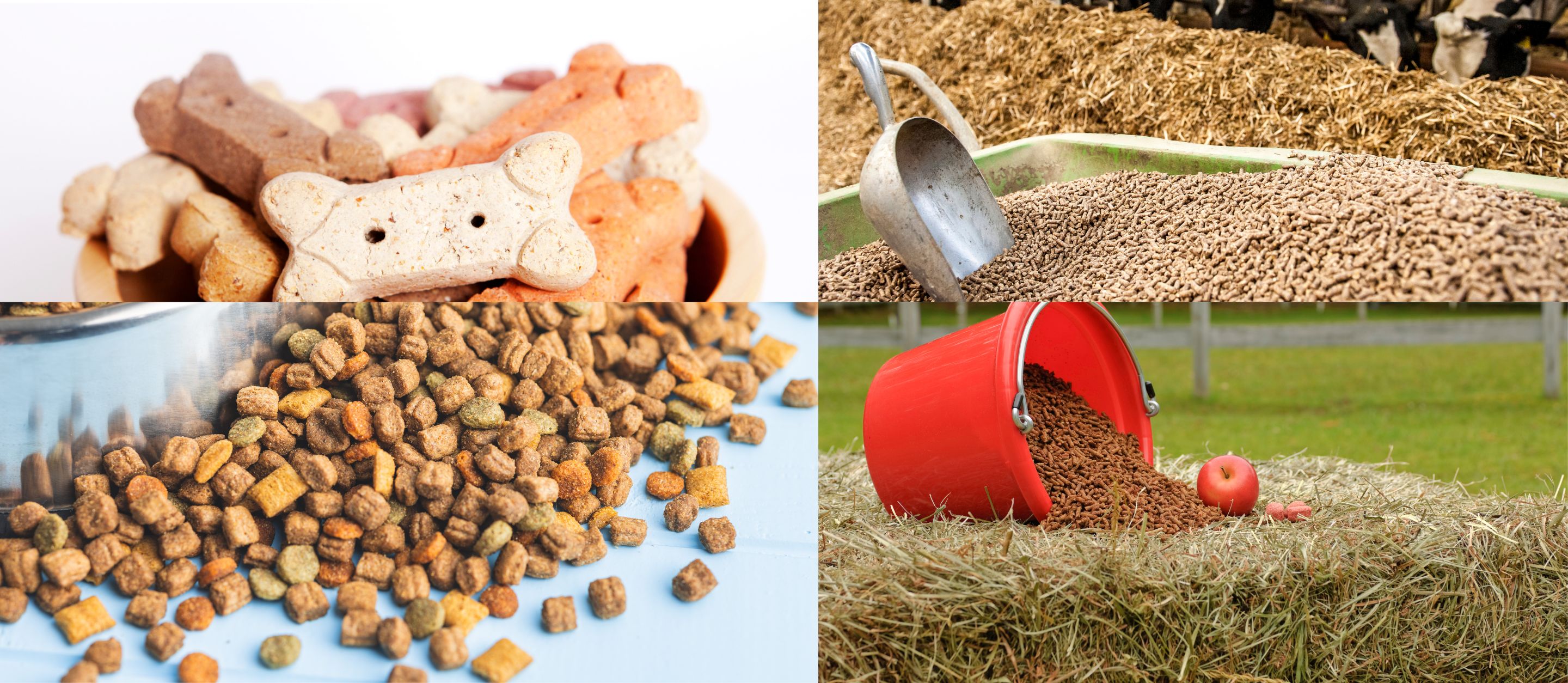 Food & Drug - Feed Program | NC Agriculture