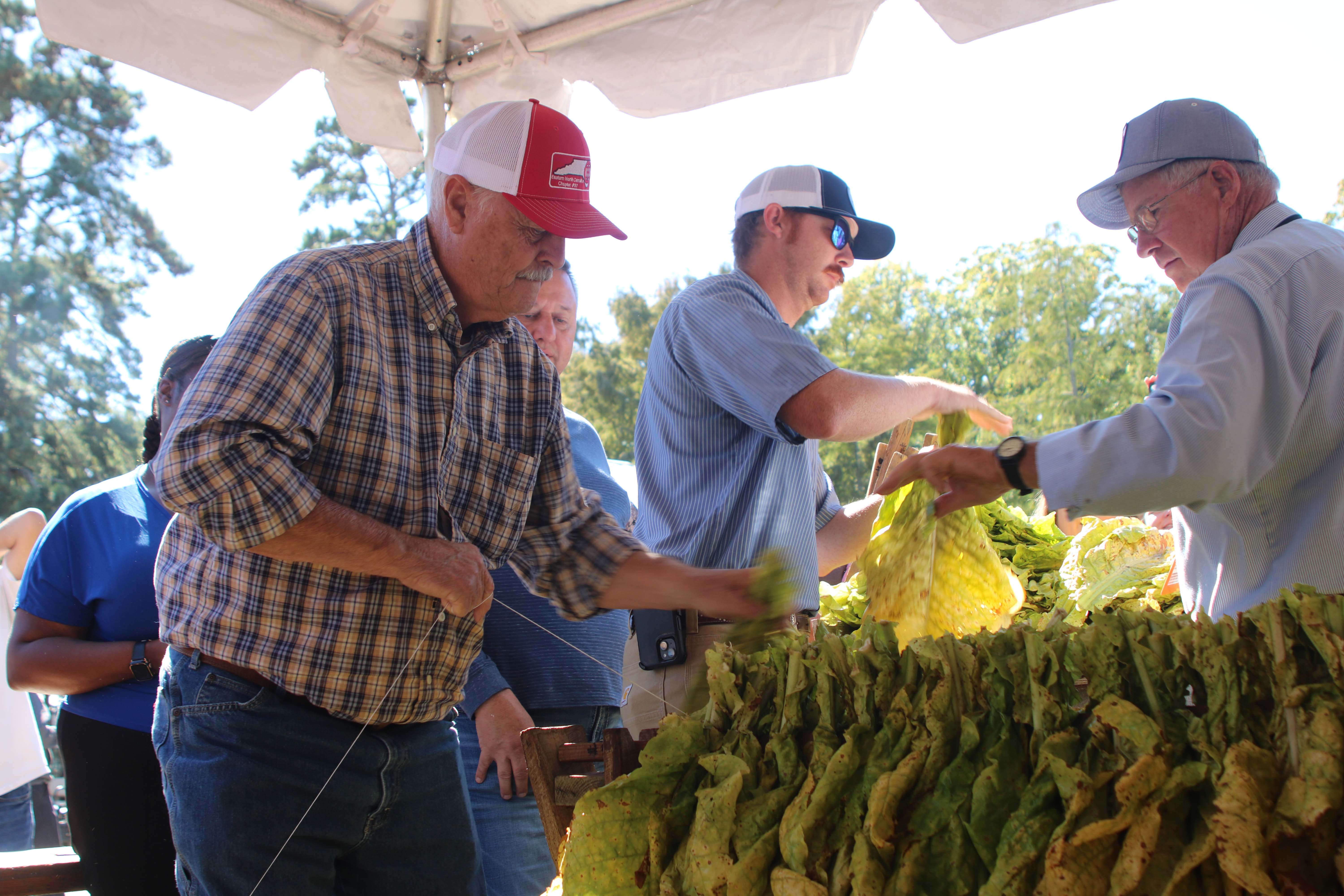 Annual State Fair tobacco looping/stringing contest to be held Friday at 2 p.m. in Heritage Circle