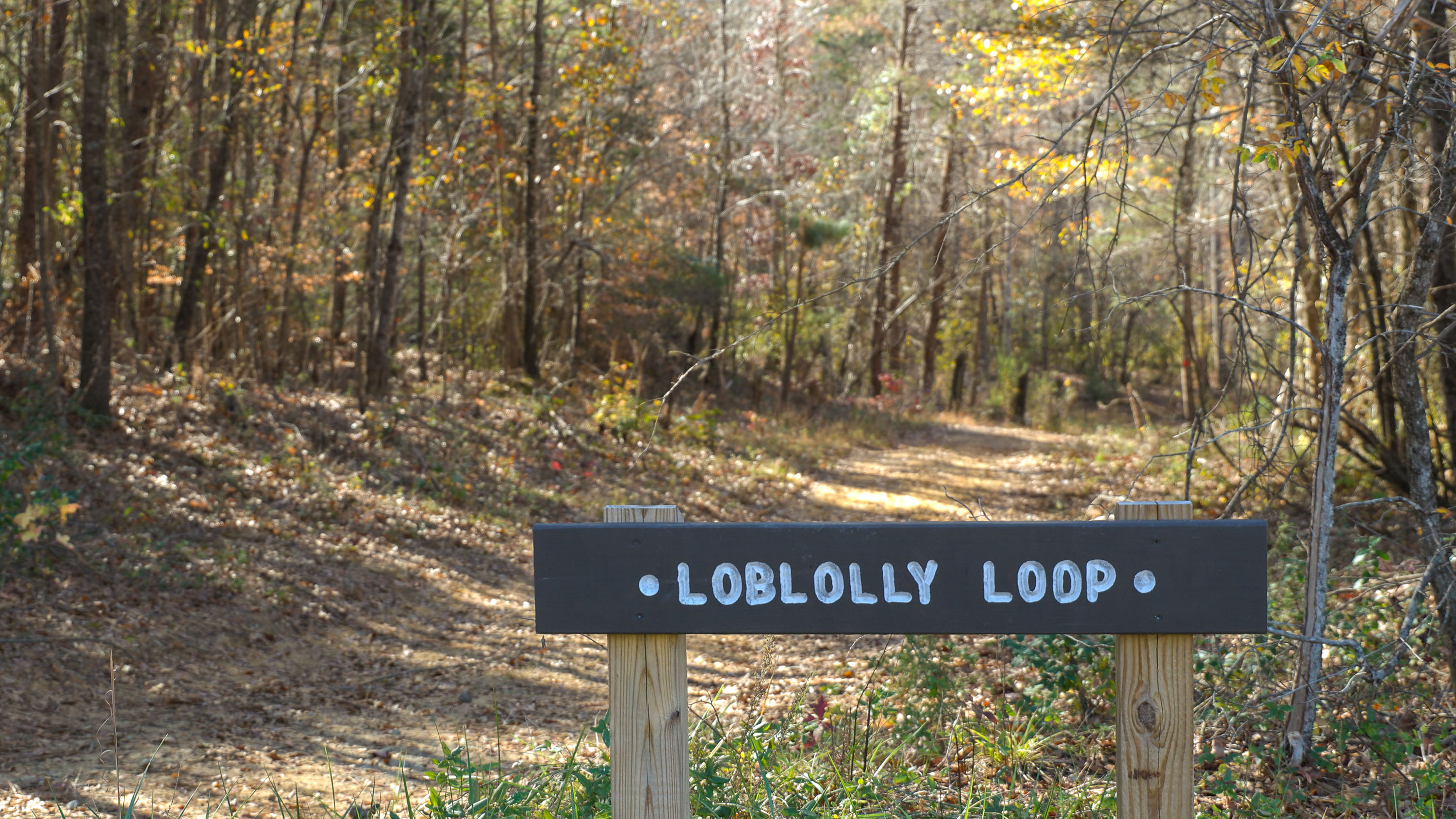 Mountain Island Educational State Forest now open