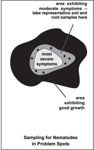 diagram to show where to pull samples from