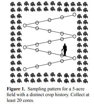 nematode sampling patterns for a 4 acre field