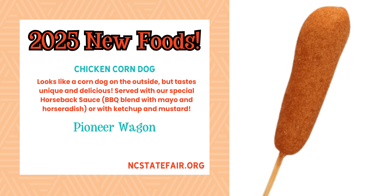Chicken Corn Dog (savory)