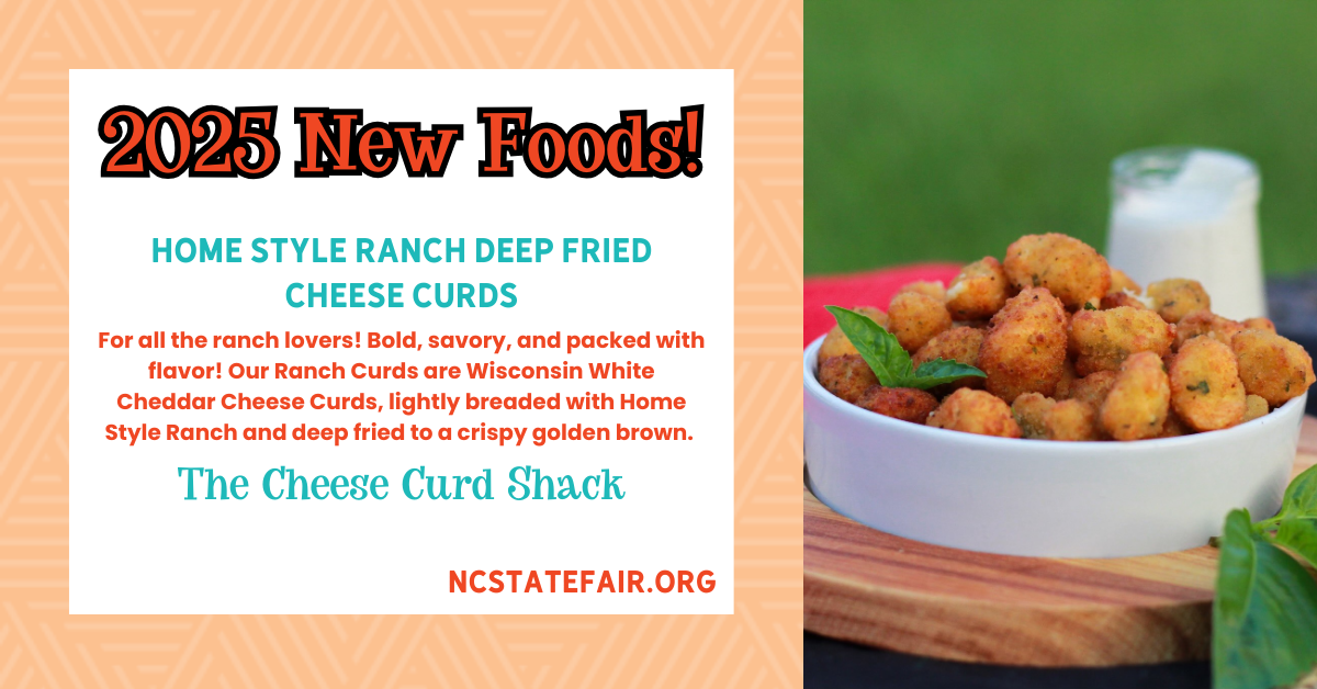 Home Style Ranch Deep Fried Cheese Curds