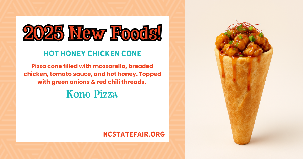 Hot Honey Chicken Cone (savory)