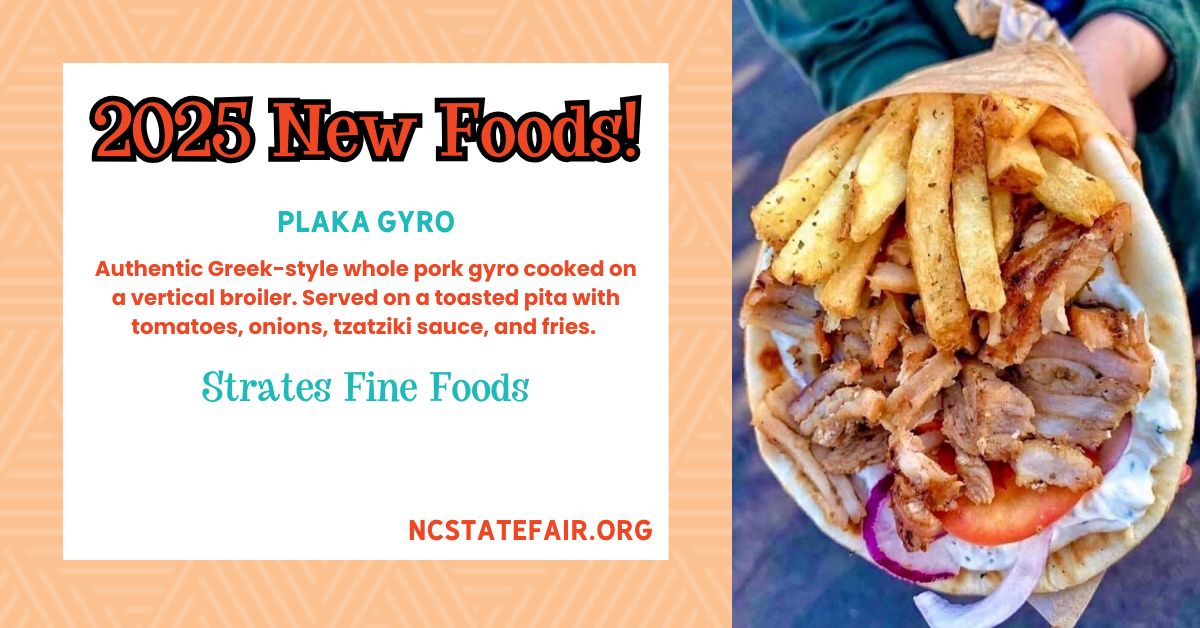 Plaka Gyro (savory)