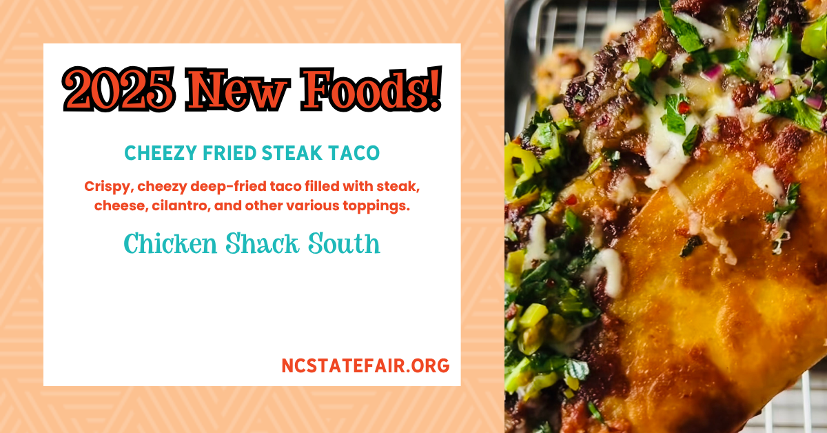 fried steak taco