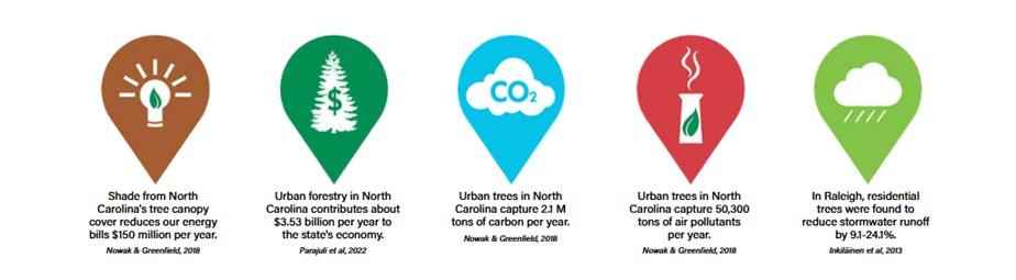 Ecosystem services infographic