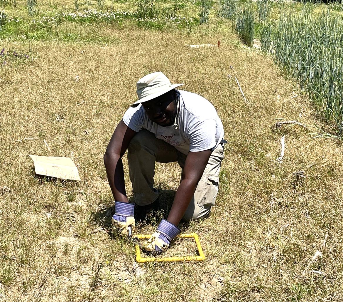 Agronomist collecting a biomass sample in a field