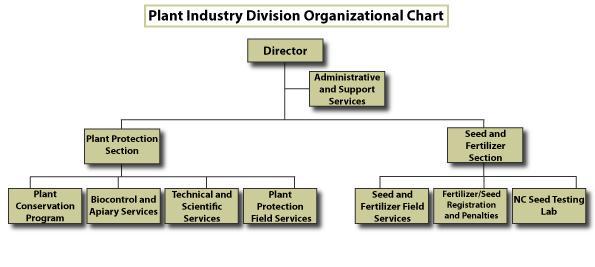 plant industry division organizational chart