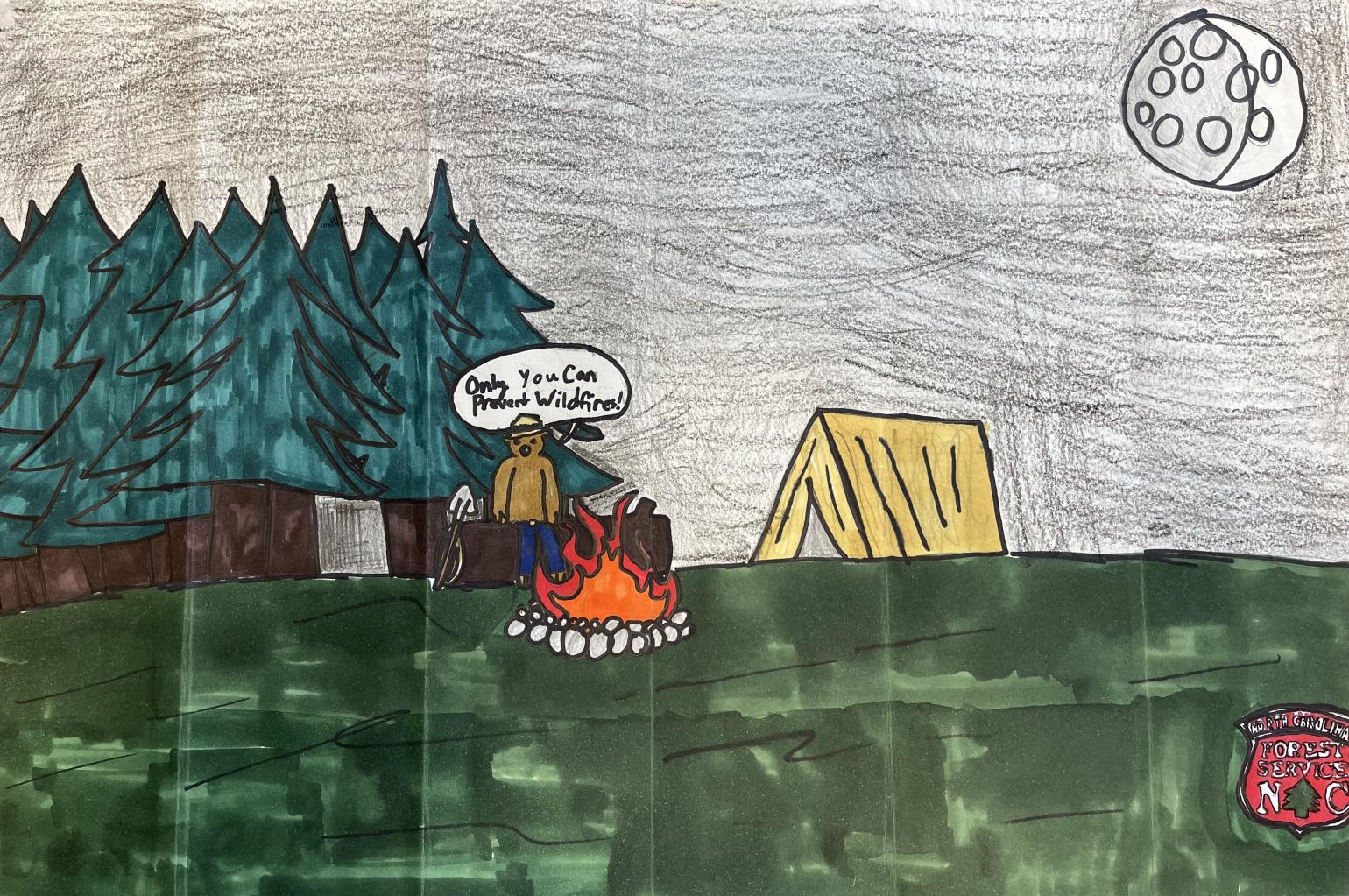 Original artwork featuring Smokey Bear watching over a campfire in the forest beneath a night sky