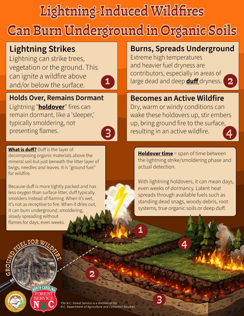 Infographic providing visual and explanation of how lightning-induced wildfires can burn underground without detection
