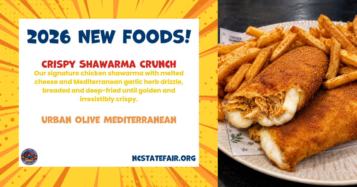 Crispy Shawarma Crunch (savory)