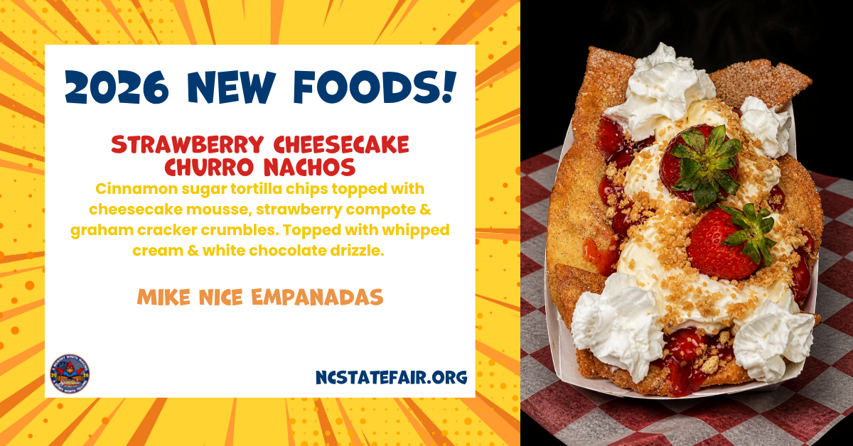 Strawberry Cheesecake Churro Nachos (sweet) 
