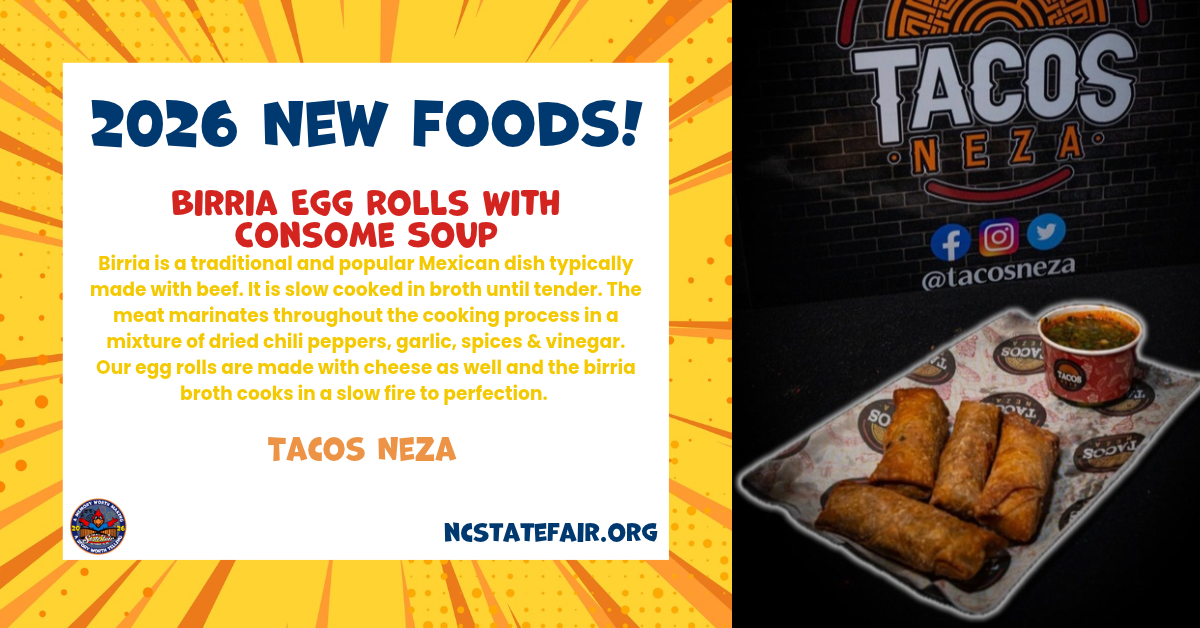 Birria Egg Rolls with Consome Soup (savory) 