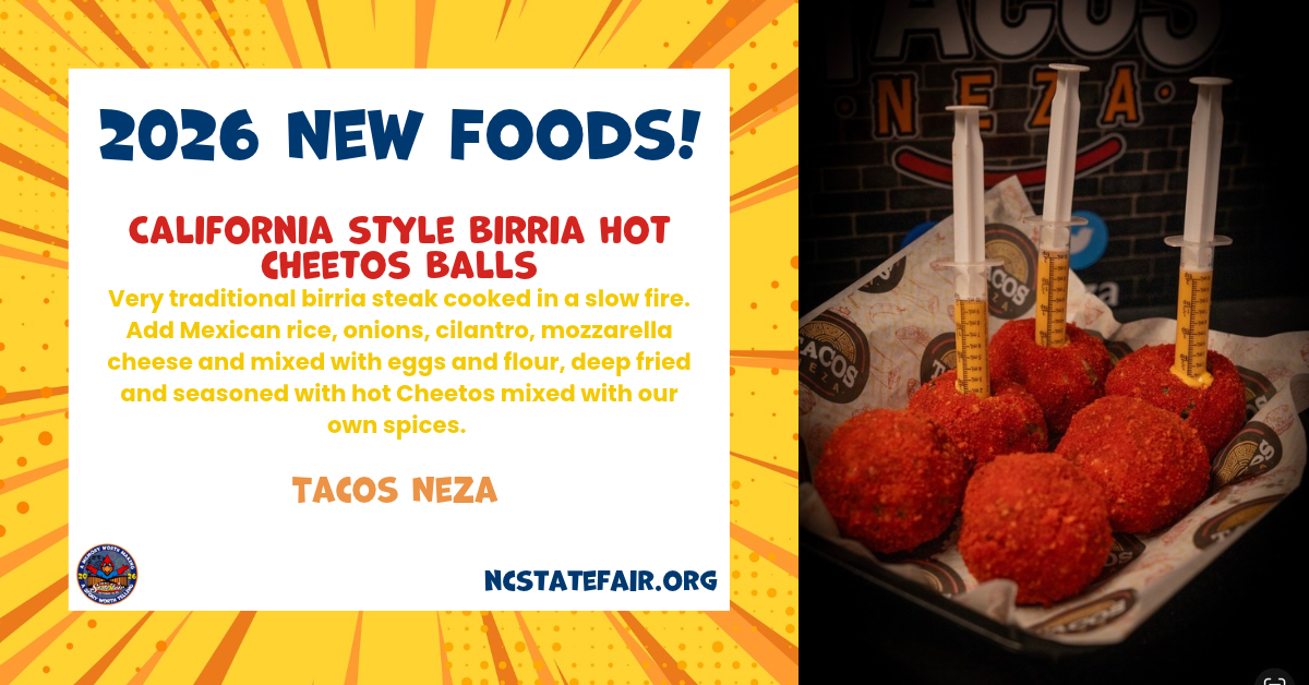 California Style Birria Hot Cheetos Balls (savory)