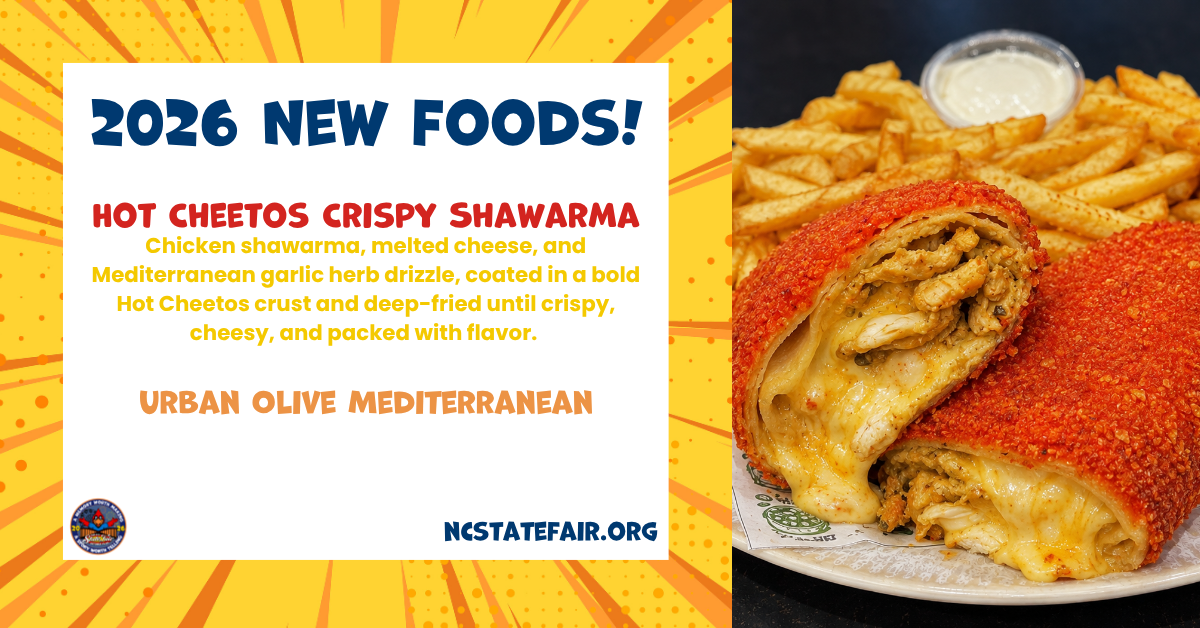 Hot Cheetos Crispy Shawarma (savory)