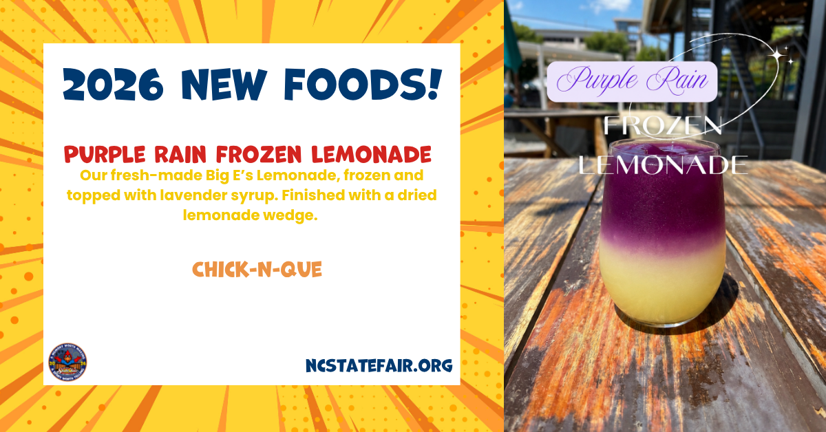 Purple Rain Frozen Lemonade (Drinks)