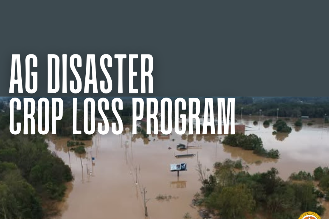 image of flooding in the mountains