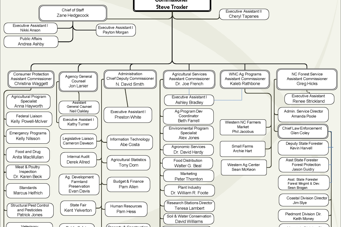 Human Resources - Agency Organizational Chart