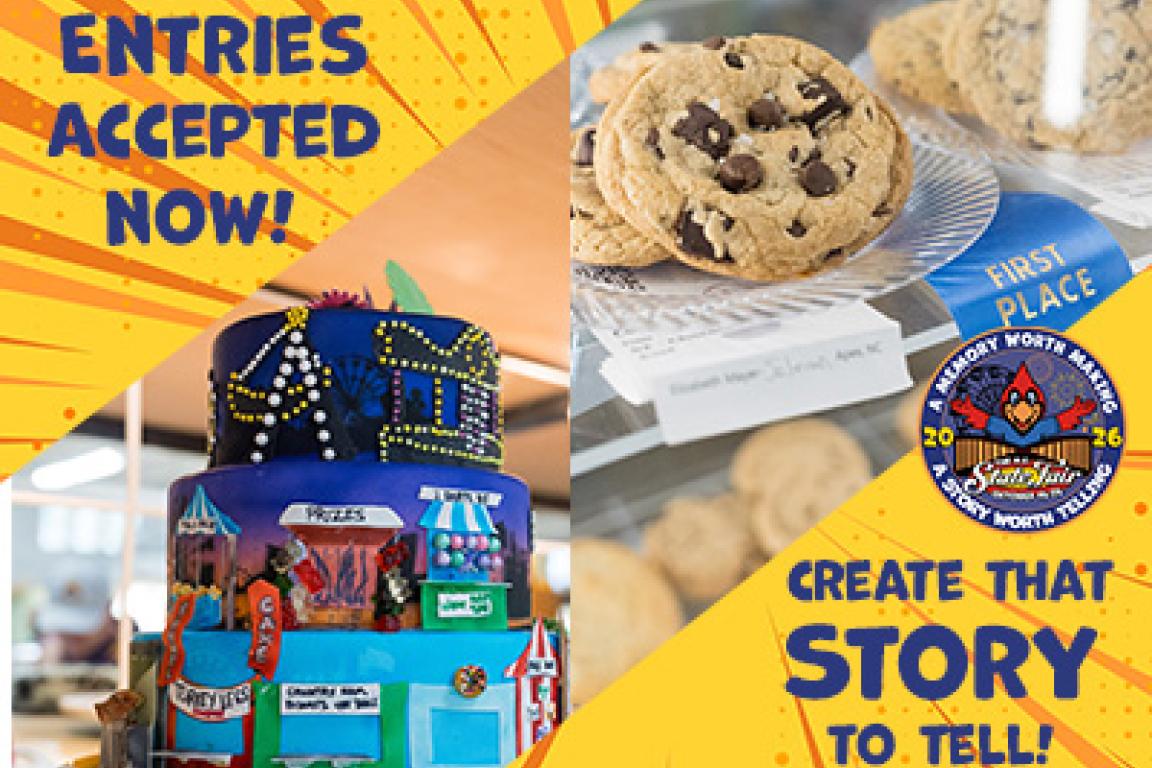 Cookies and Decorated Cake "Entries Accpeted Now"