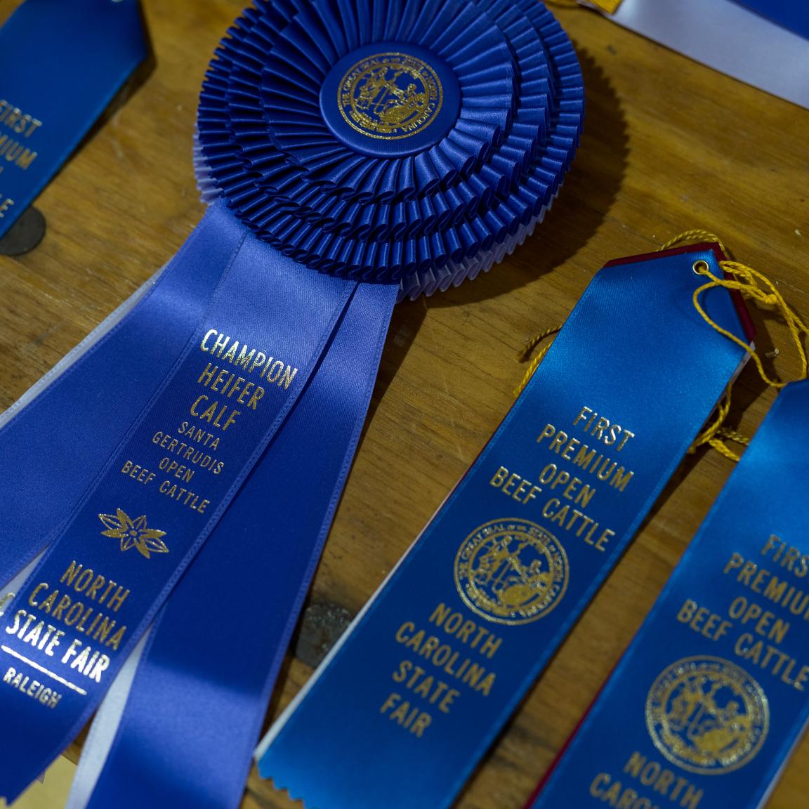 NCSF Competition Info