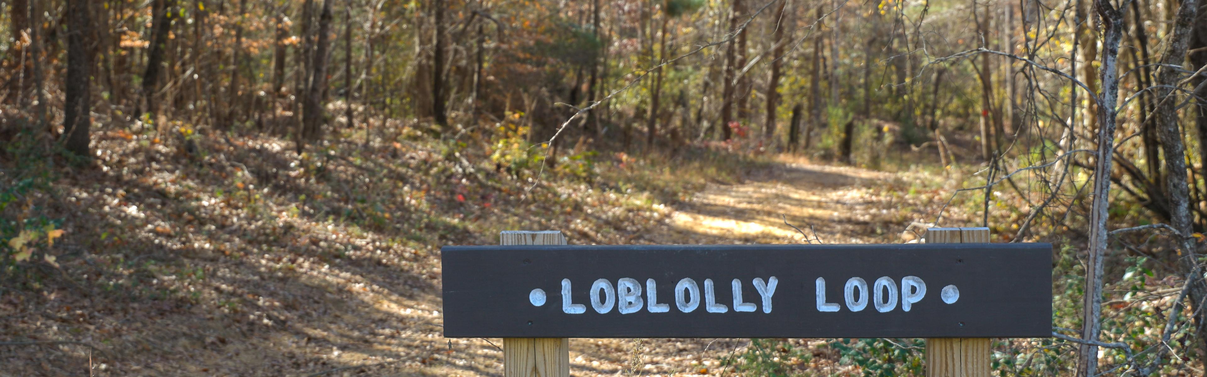 Loblolly Loop Trail in MIESF