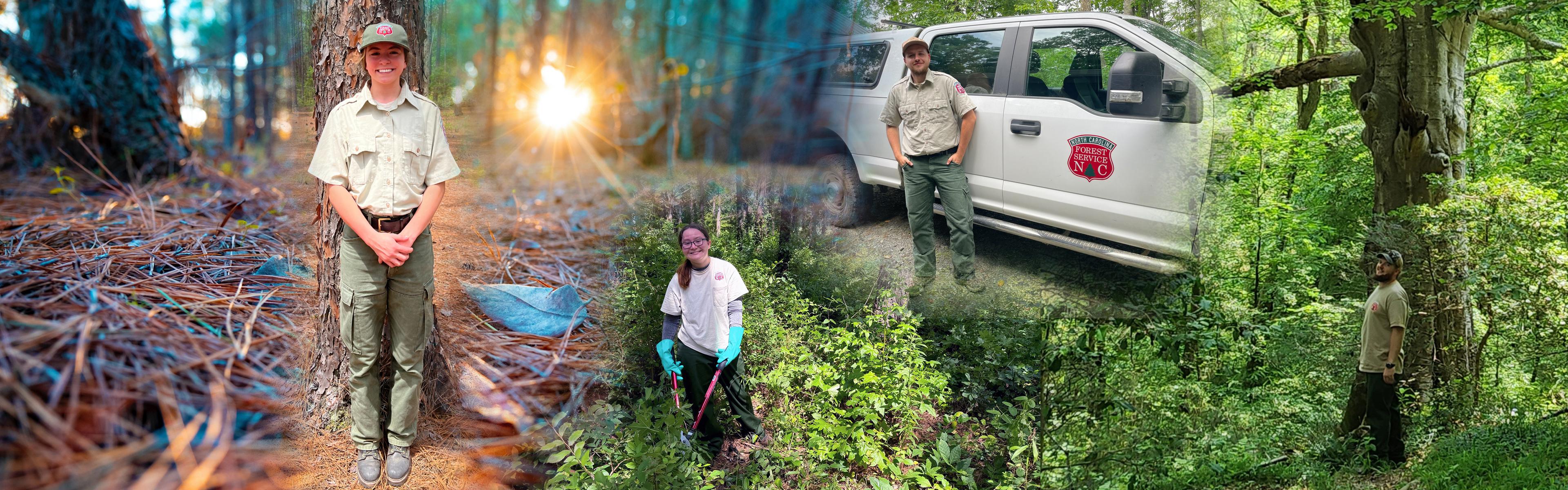 Previous N.C. Forest Service interns in action