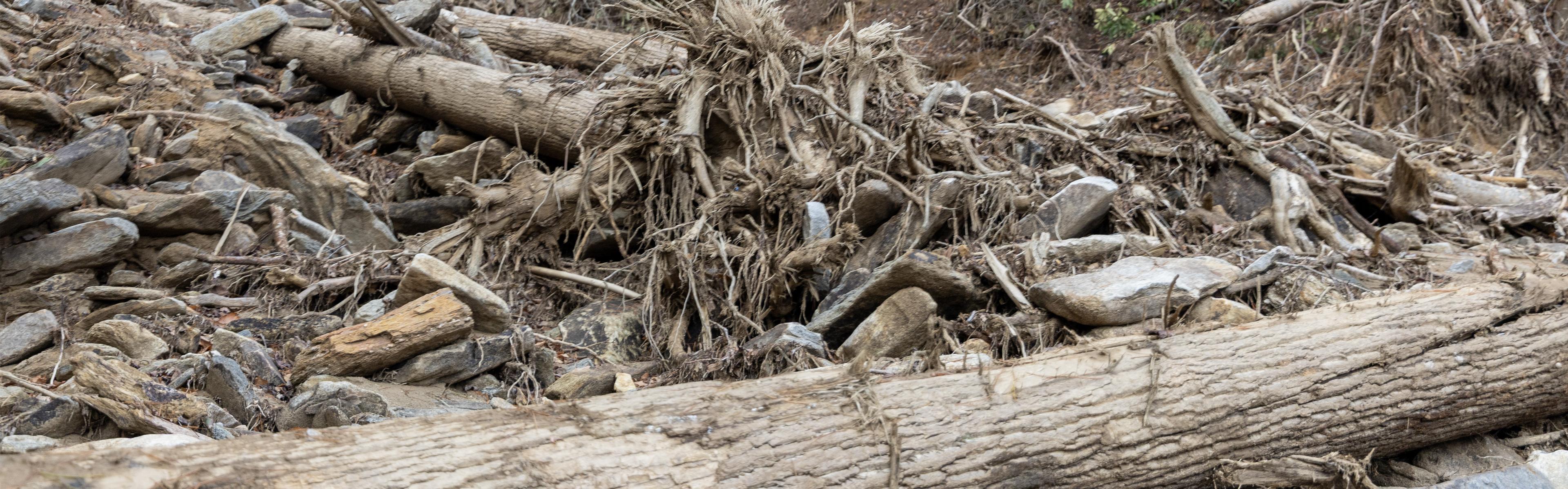 Downed timber and debris from Hurricane Helene