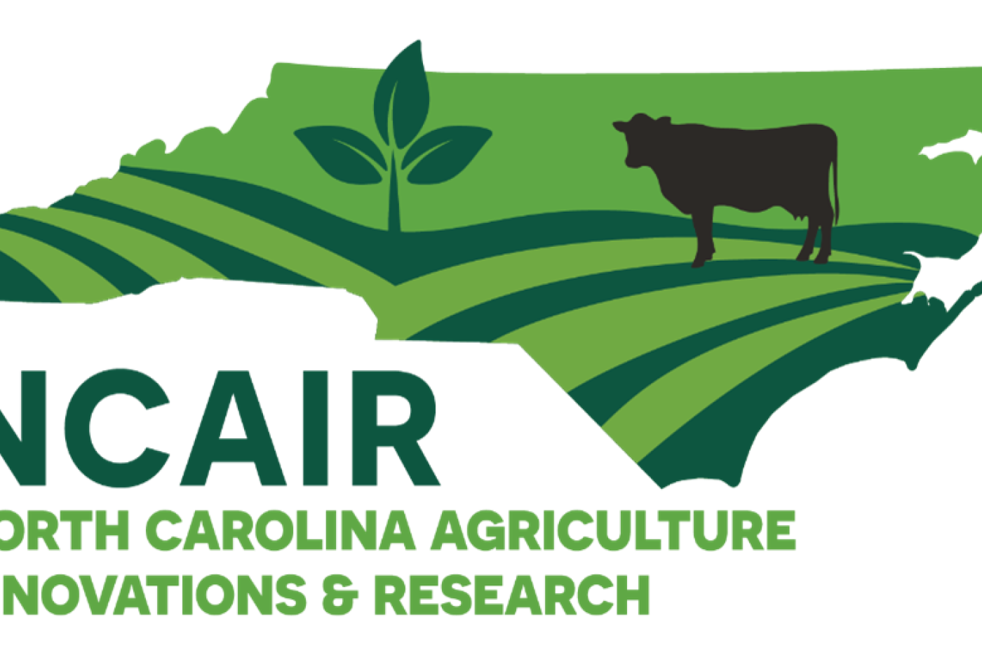 This logo graphic shows the geographic shape of the state of North Carolina in light and dark green stripes to represent an field, with a plant sprouting and an image of a cow standing in the graphic field. "NCAIR" is in the lower left outside the state outline, with the words "North Carolina Agriculture Innovations & Research" below that.