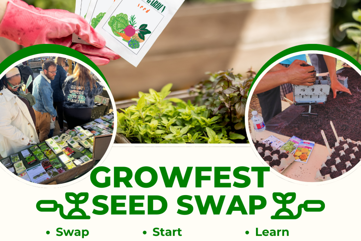 Growfest Seed Swap at the Charlotte Regional Farmers Market, Saturday,  April 18th