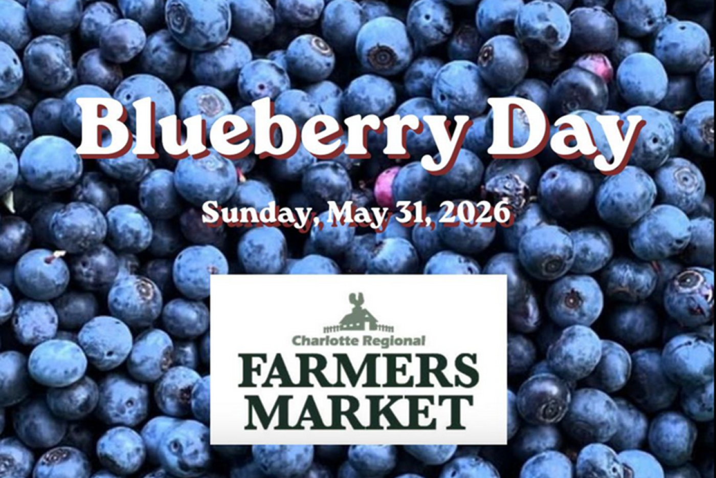Blueberry Day Sunday, May 31st at the Charlotte Regional Faremers Market