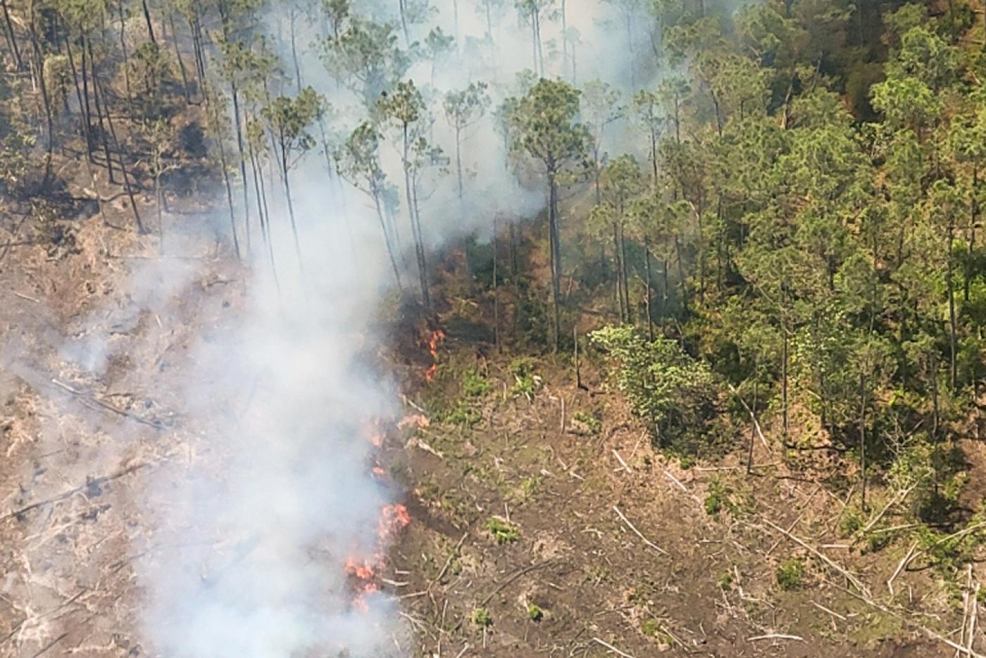 Aerial of timber and surrounding area with active flame and smoke