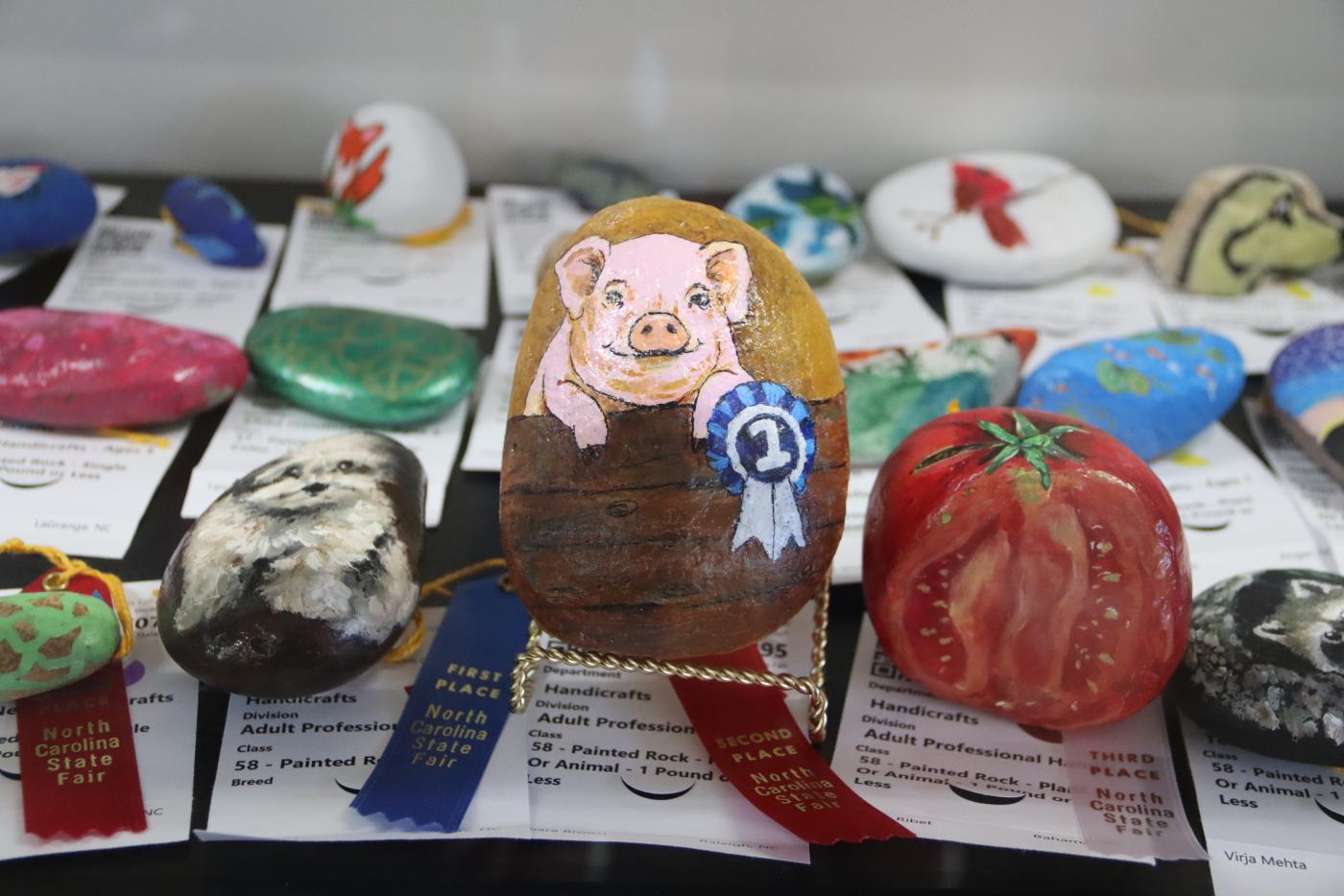 Entries in the painted rocks competition.