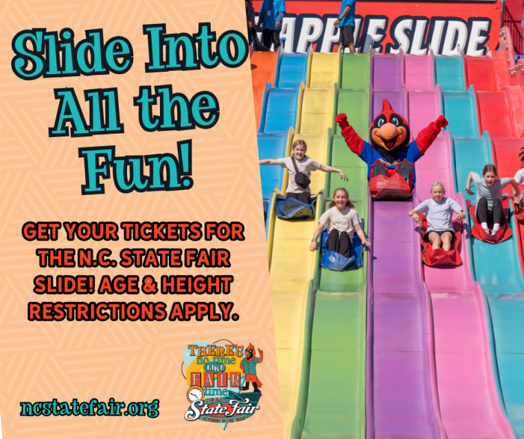 large cardinal mascot and several children riding a big colorful slide