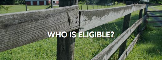 Who is eligible for grants?