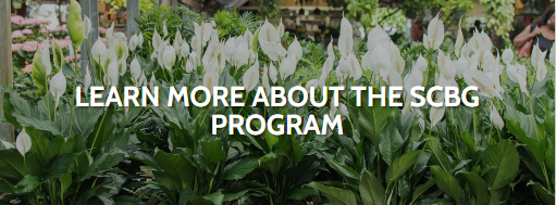Learn more about the SCBG Program