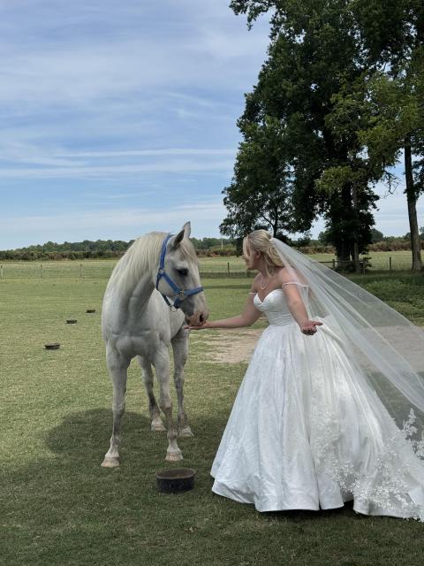 A woman in a wedding dress feeds a white horse.