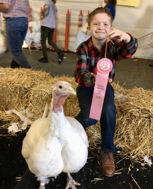 A young boy seated beside his winning turkey holds up a pink ribbon at the fair.
