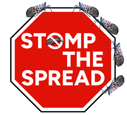 Stomp the Spread Logo